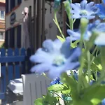 Duru Ayvalik