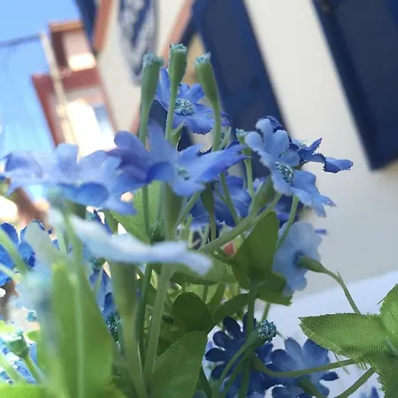 Hotel Duru Ayvalı