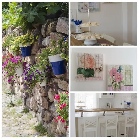 Duru Ayvalı