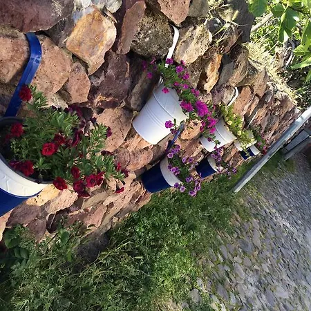 Hotel Duru *